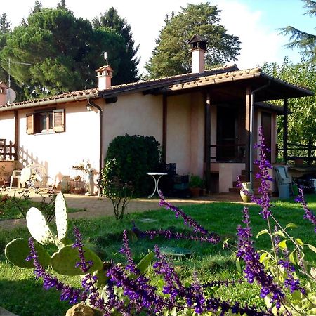 Olive Tree Hill Bed and Breakfast Zagarolo Eksteriør billede