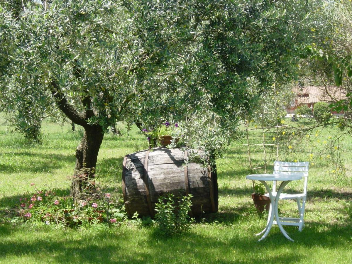 Olive Tree Hill Bed and Breakfast Zagarolo Eksteriør billede