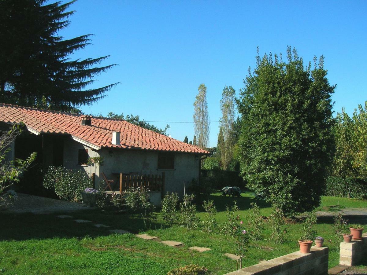 Olive Tree Hill Bed and Breakfast Zagarolo Eksteriør billede