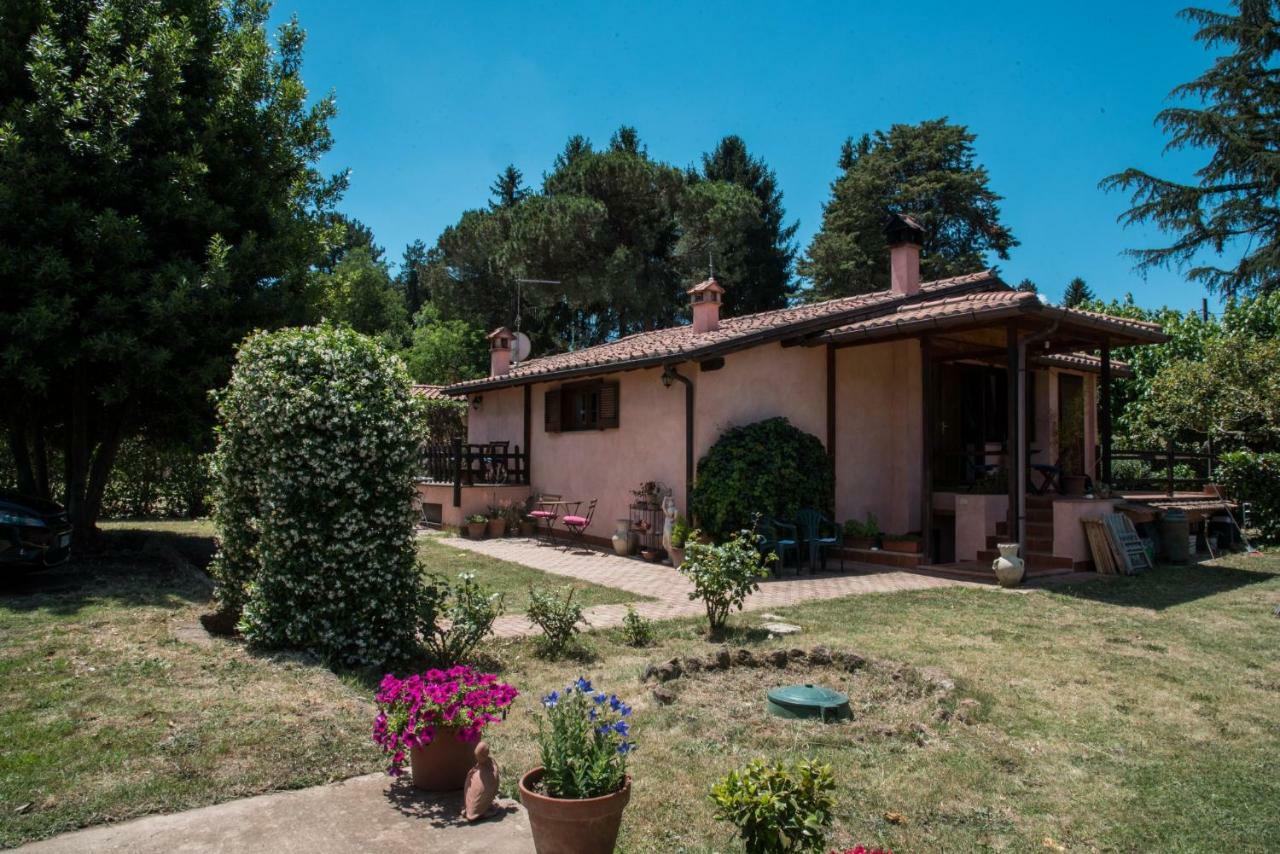 Olive Tree Hill Bed and Breakfast Zagarolo Eksteriør billede